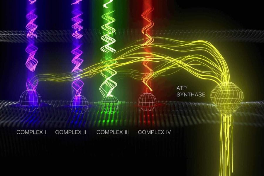 how does lllt work